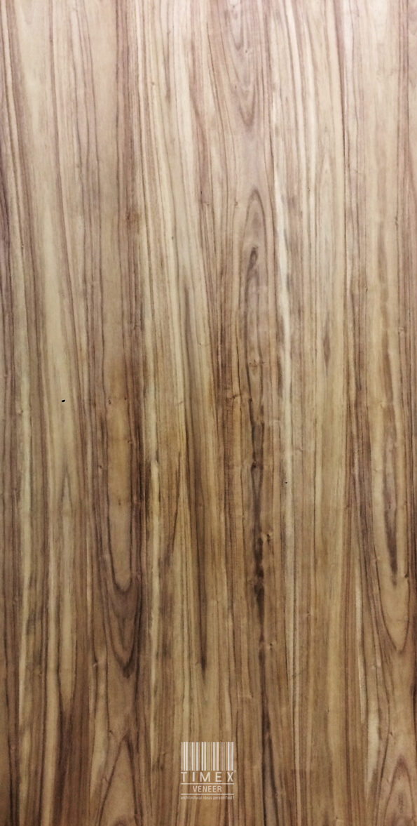AUSTRALIAN WALNUT - Timex Veneer